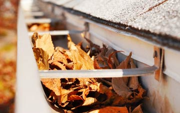 Woods Eaves gutter cleaning companies