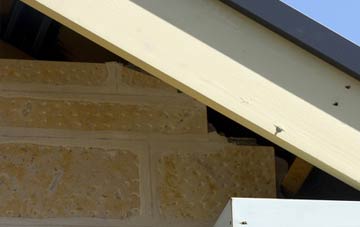 soffit repair Woods Eaves